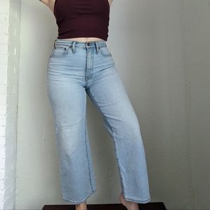 Madewell The Perfect Vintage Wide-Leg Crop Jean 27P